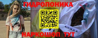гашик Будённовск