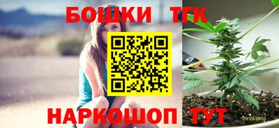 гашик Будённовск