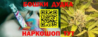 гашик Будённовск