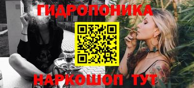 гашик Будённовск