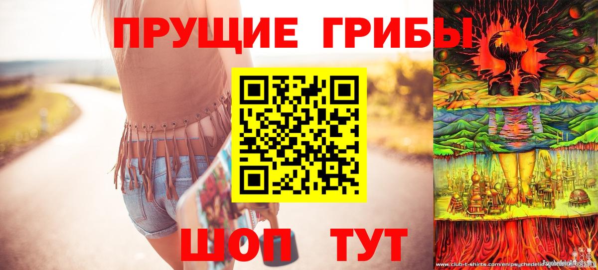 Севастополь  Псилоцибиновые грибы мицелий  Вход с VPN 